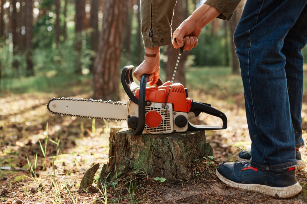 Felling or Full Removal? How the Two Tree Jobs Differ