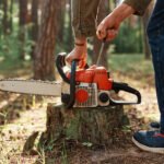 Felling or Full Removal? How the Two Tree Jobs Differ