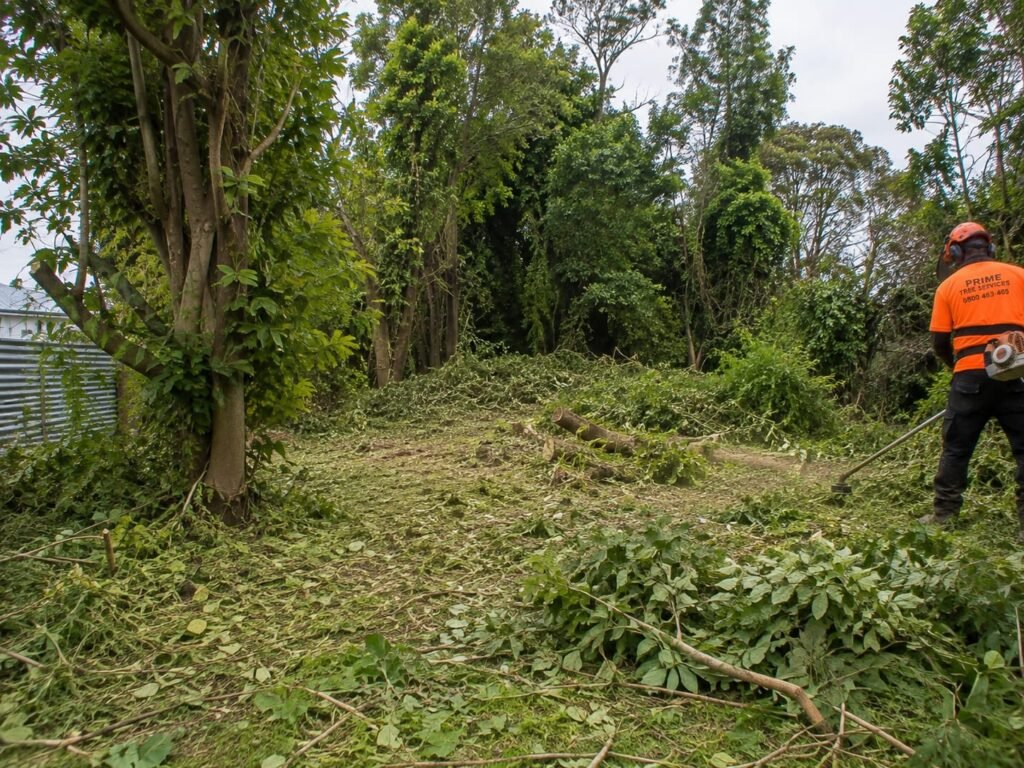Land Clearing Tauranga 2