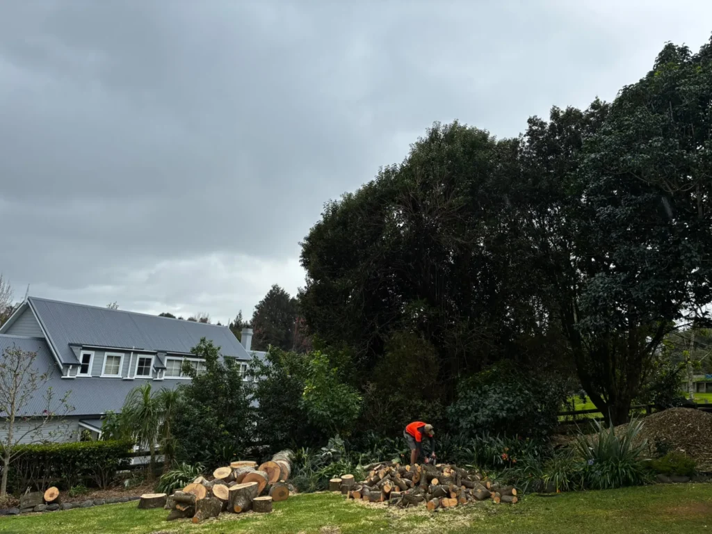 Arborist cutting logs from felled timber beside a grey-roofed home in Tauranga