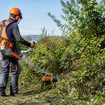 What an Overgrown Section Clearing Service Includes