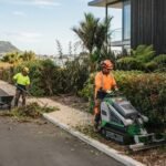Business Boundary Hedge Removal in Tauranga: A Practical Guide