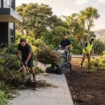 Commercial Shrub Bed Removal in Tauranga: A Clear Plan for Your Site