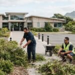 Commercial Shrub Clearance Tauranga: A Practical Business Guide