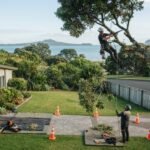 Qualified Arborist Services in Matua for Safe Tree Work