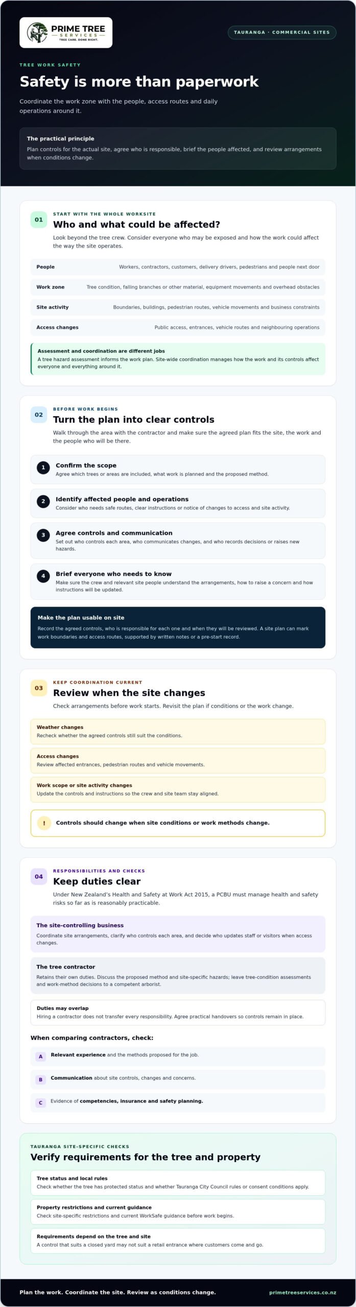 Tauranga Tree Safety Compliance: A Business Guide