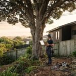 Cost to Cut Down a Tree in Papamoa: What Shapes Your Quote?